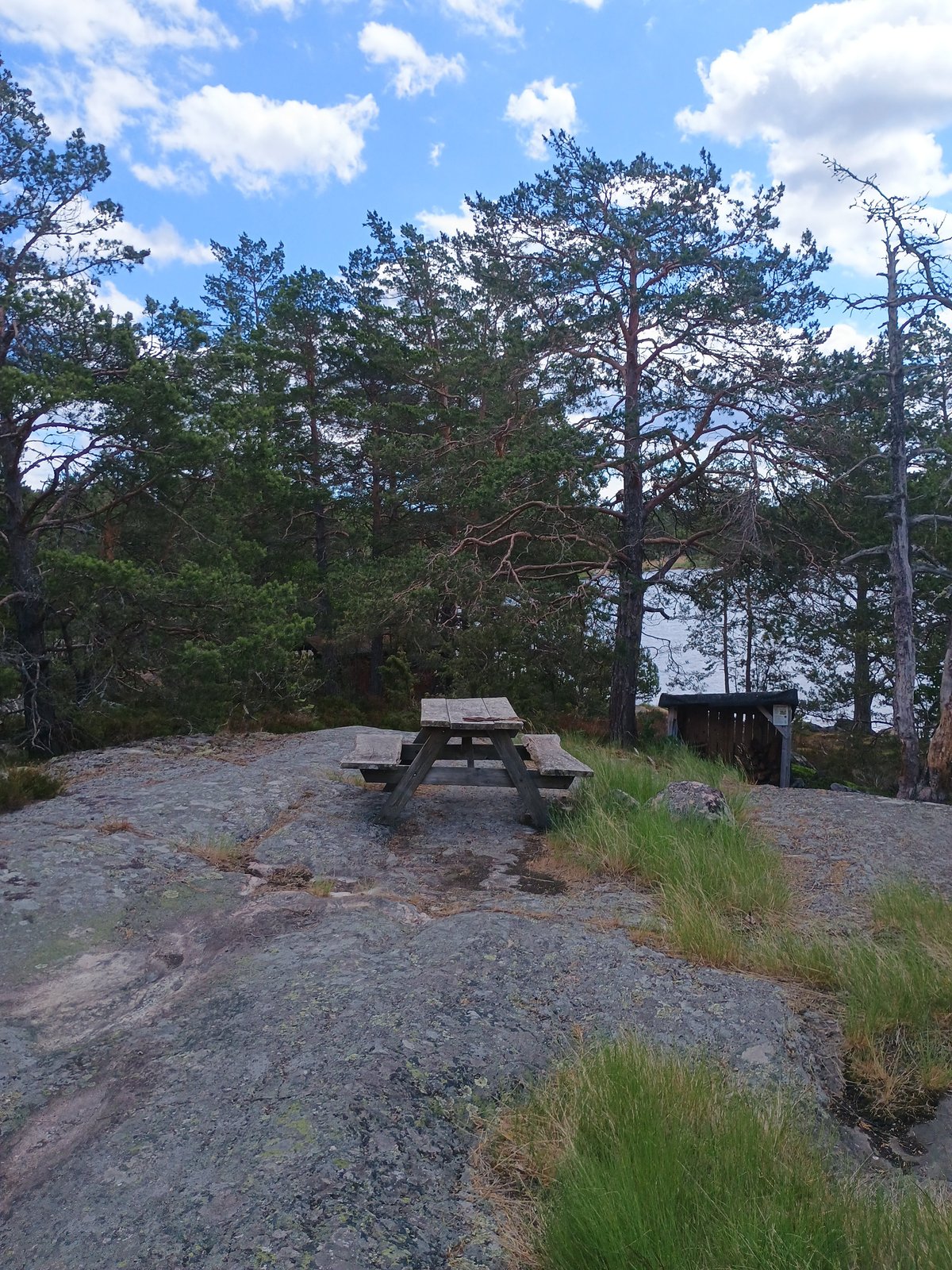 Houten picknicktafel op een granieten rots tussen Scandinavische dennen, met water zichtbaar op de achtergrond.