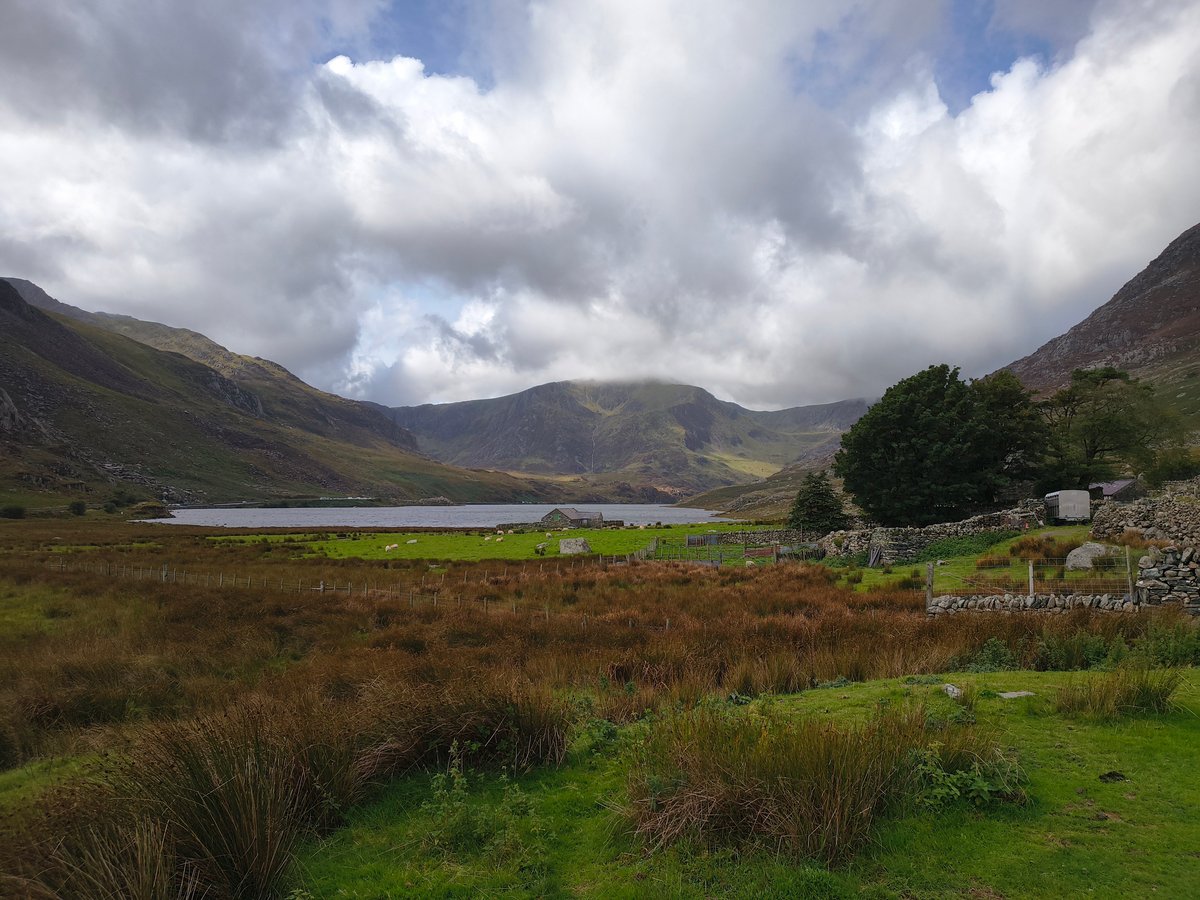 Llyn Ogwen in het dal met groene weilanden, een oude stenen schuur en schapen op de voorgrond, bergen half in de wolken