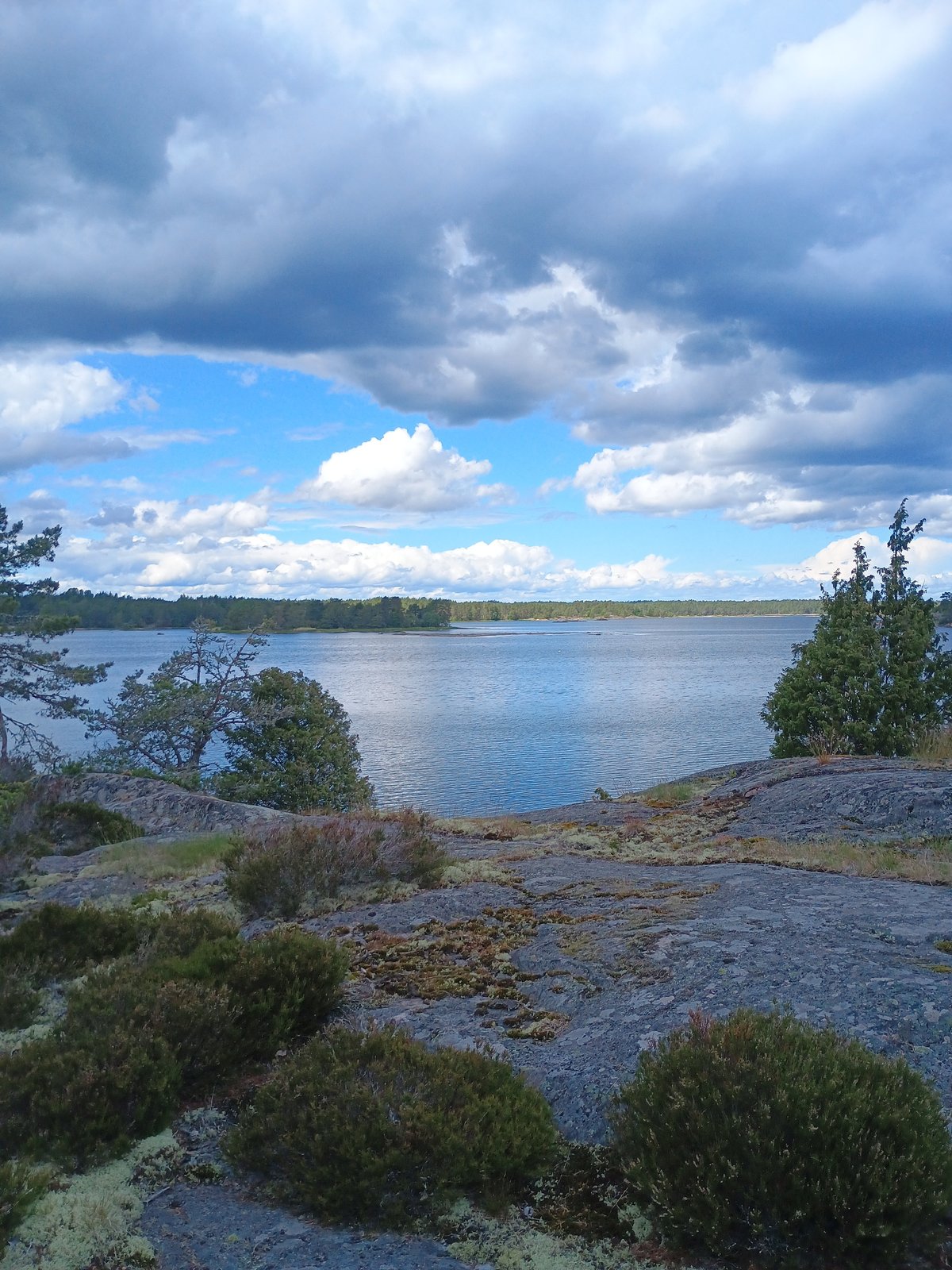 Uitzicht over de Scandinavische scherenkust met rotsen, heide en dramatische wolkenlucht in het Torrö naturreservat.