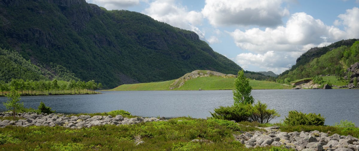Rustig bergmeer omgeven door beboste hellingen en rotsachtige oever in een Noors landschap.