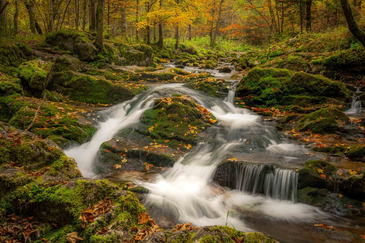 Een zijdezachte waterval stroomt over mosgroene rotsen bezaaid met herfstbladeren in een kleurrijk herfstbos.