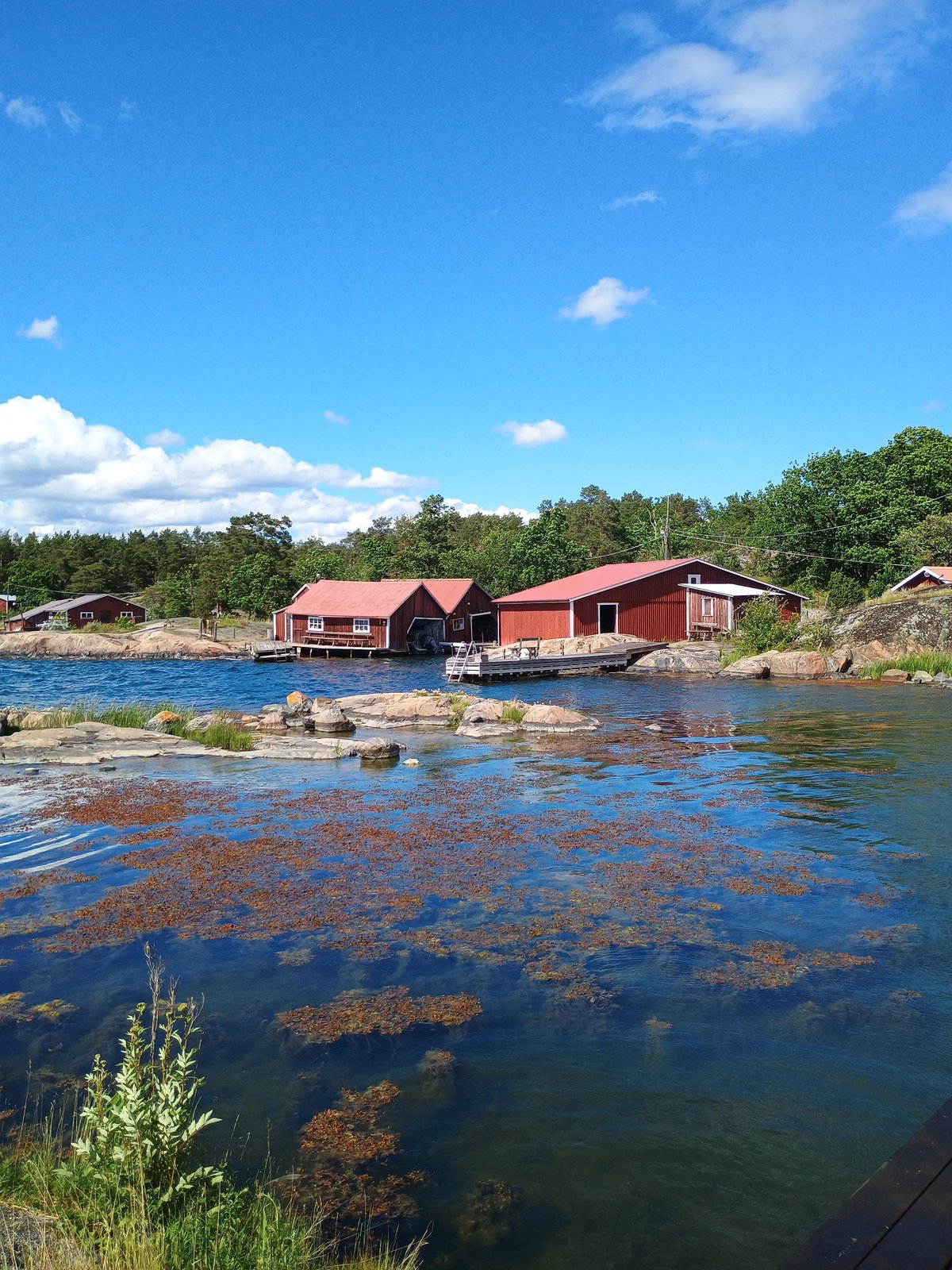 Rode houten boothuizen aan een rotsachtige Scandinavische inham op een zonnige zomerdag.