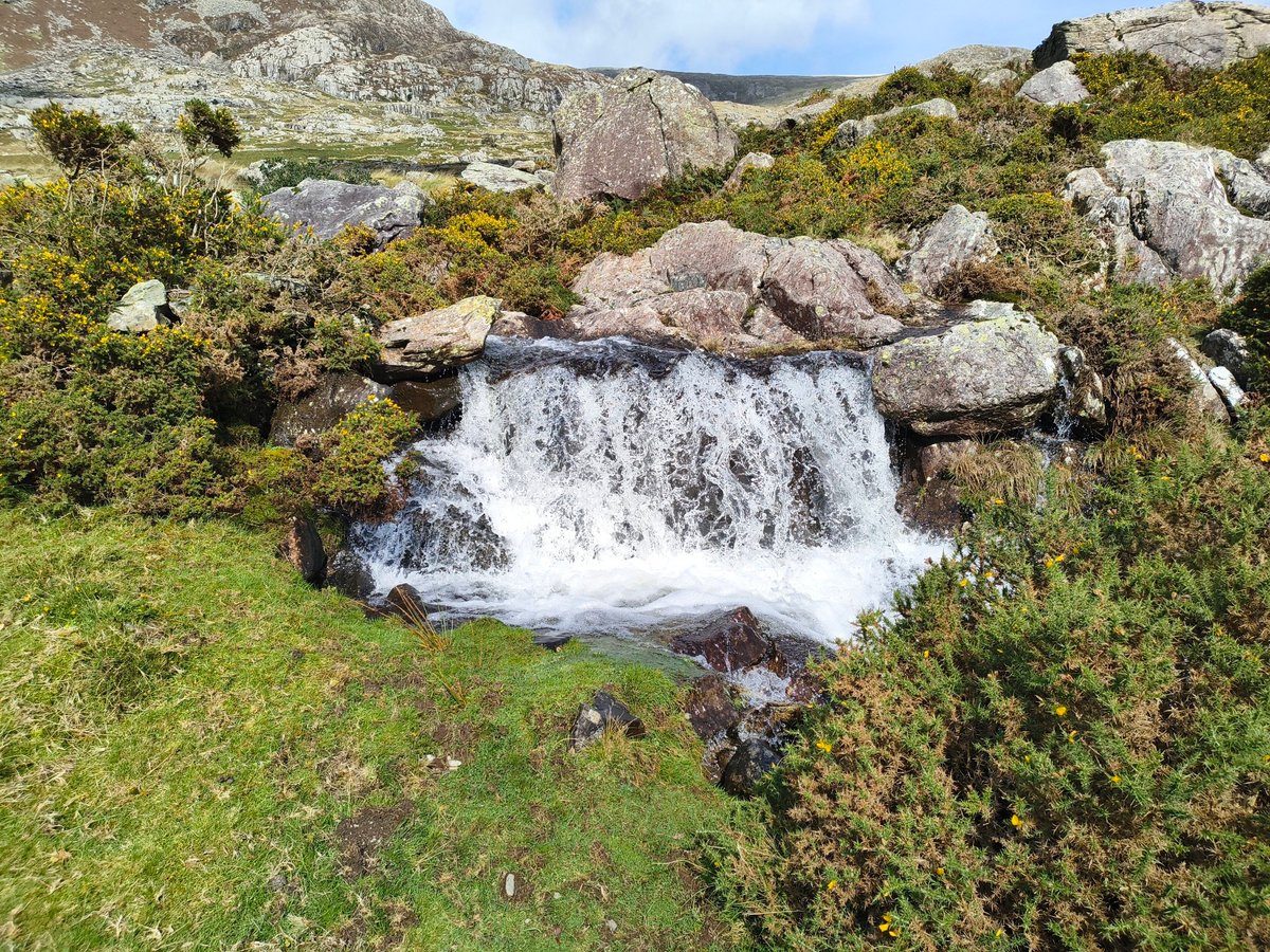 Kleine waterval over roze granietblokken omringd door gele gaspeldoorn en heide