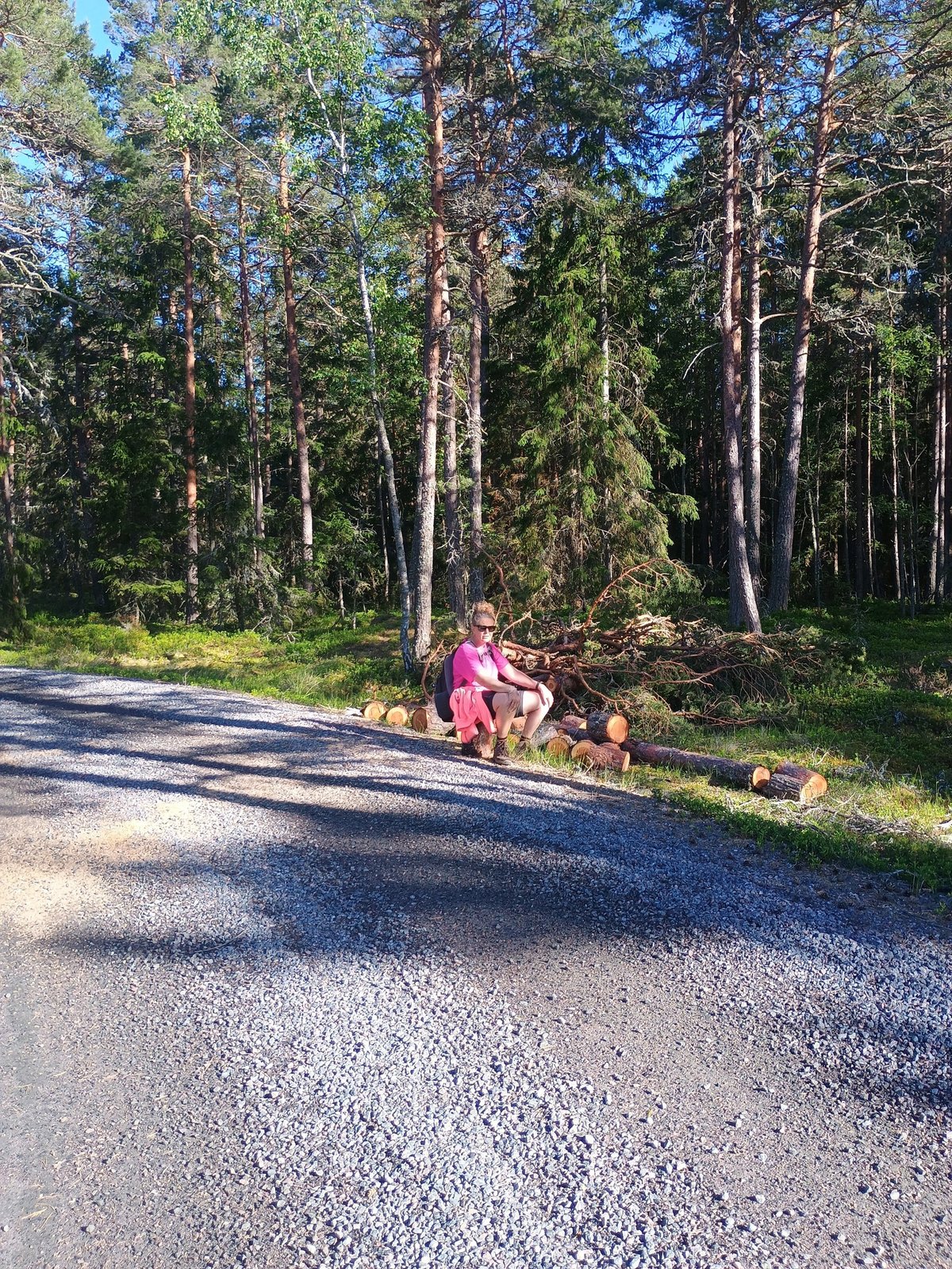 Persoon rustend op verse boomstronken langs een grindweg in een Scandinavisch naaldwoud in het Torrö naturreservat.