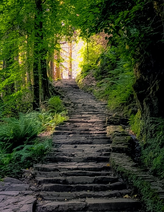 Oude bemoste stenen trap die omhoogloopt door dicht groen bos richting een lichtpunt bij Torc Waterfall
