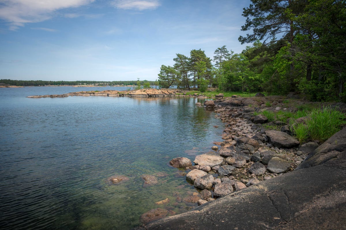 Rotsachtige oever van een Scandinavische archipel met helder water en dennenbomen op een zomerse dag.