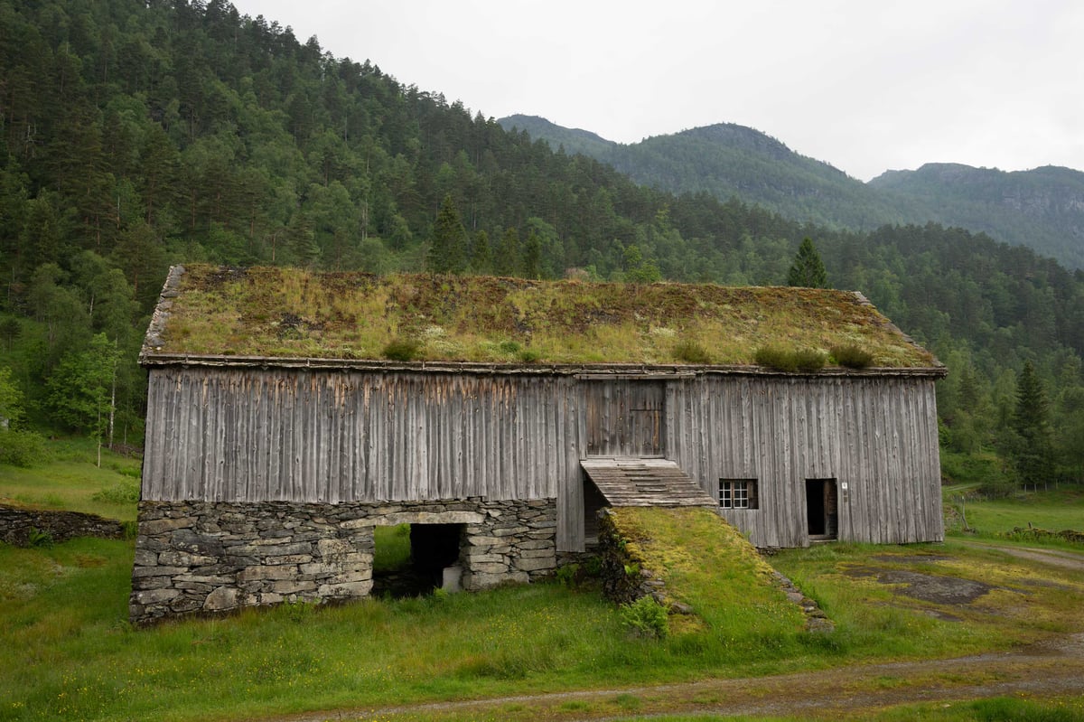 Traditionele Noorse schuur met grasdak tegen een achtergrond van beboste bergen in een groen dal langs de wandelroute bij Jonegarden