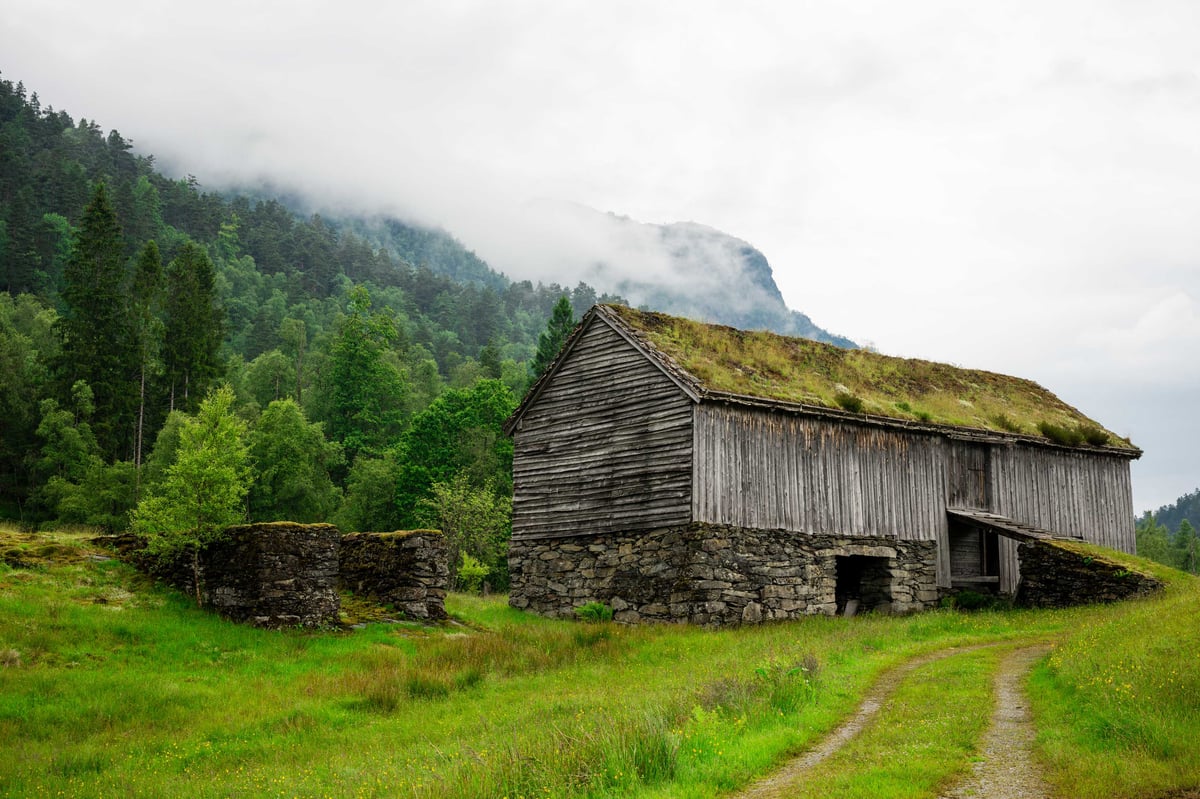 Verweerde houten Scandinavische schuur met grasdak op stenen fundering met gewelfde doorgang bij Jonegarden