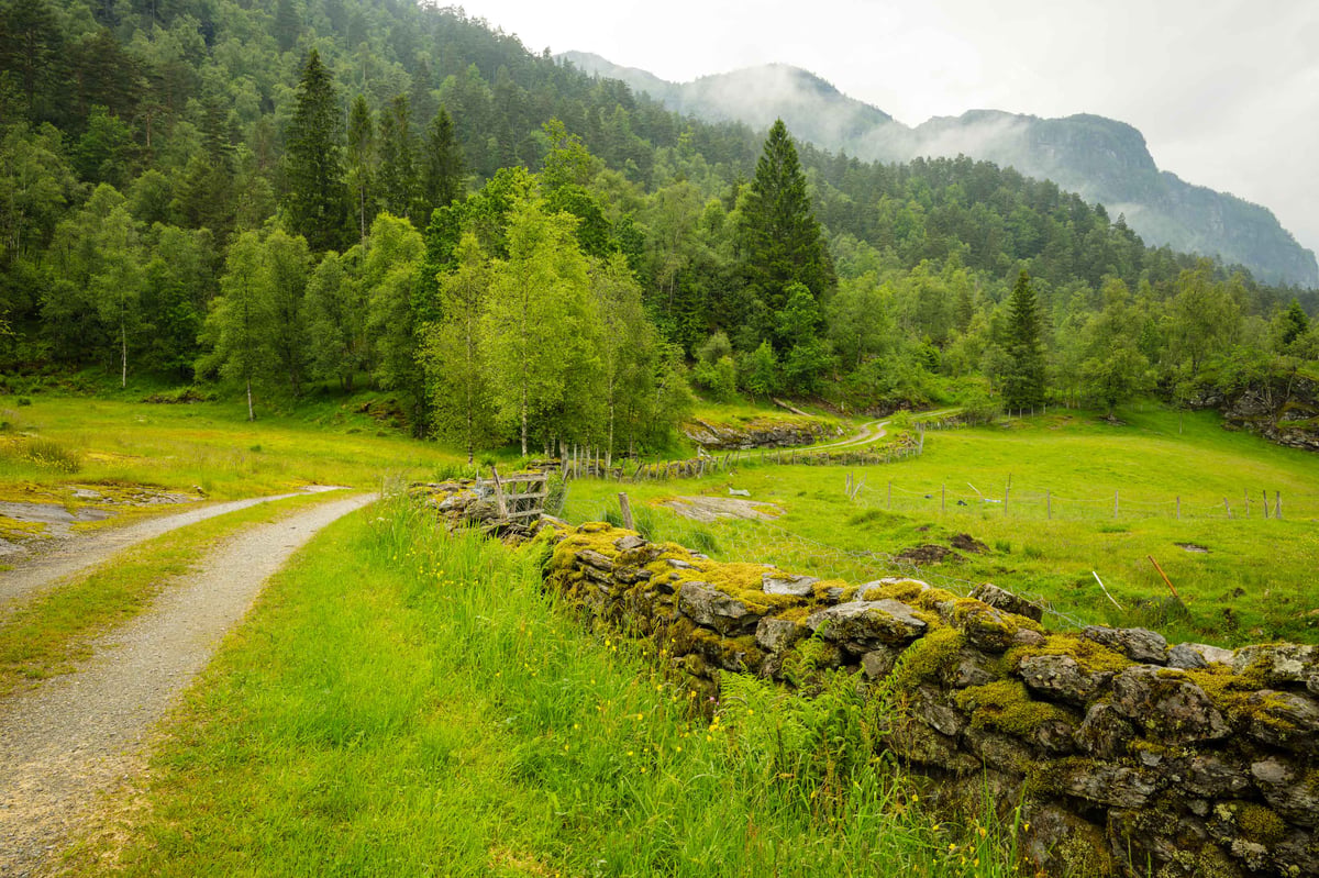 Slingerende onverharde weg langs een mosbedekte stenen muur met mistige beboste bergen op de achtergrond bij Jonegarden