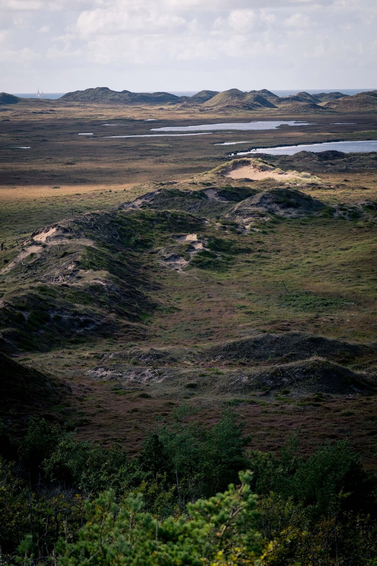 Uitzicht over een duinlandschap met heide, zandduinen en kleine vennen onder een bewolkte lucht in Nationalpark Thy
