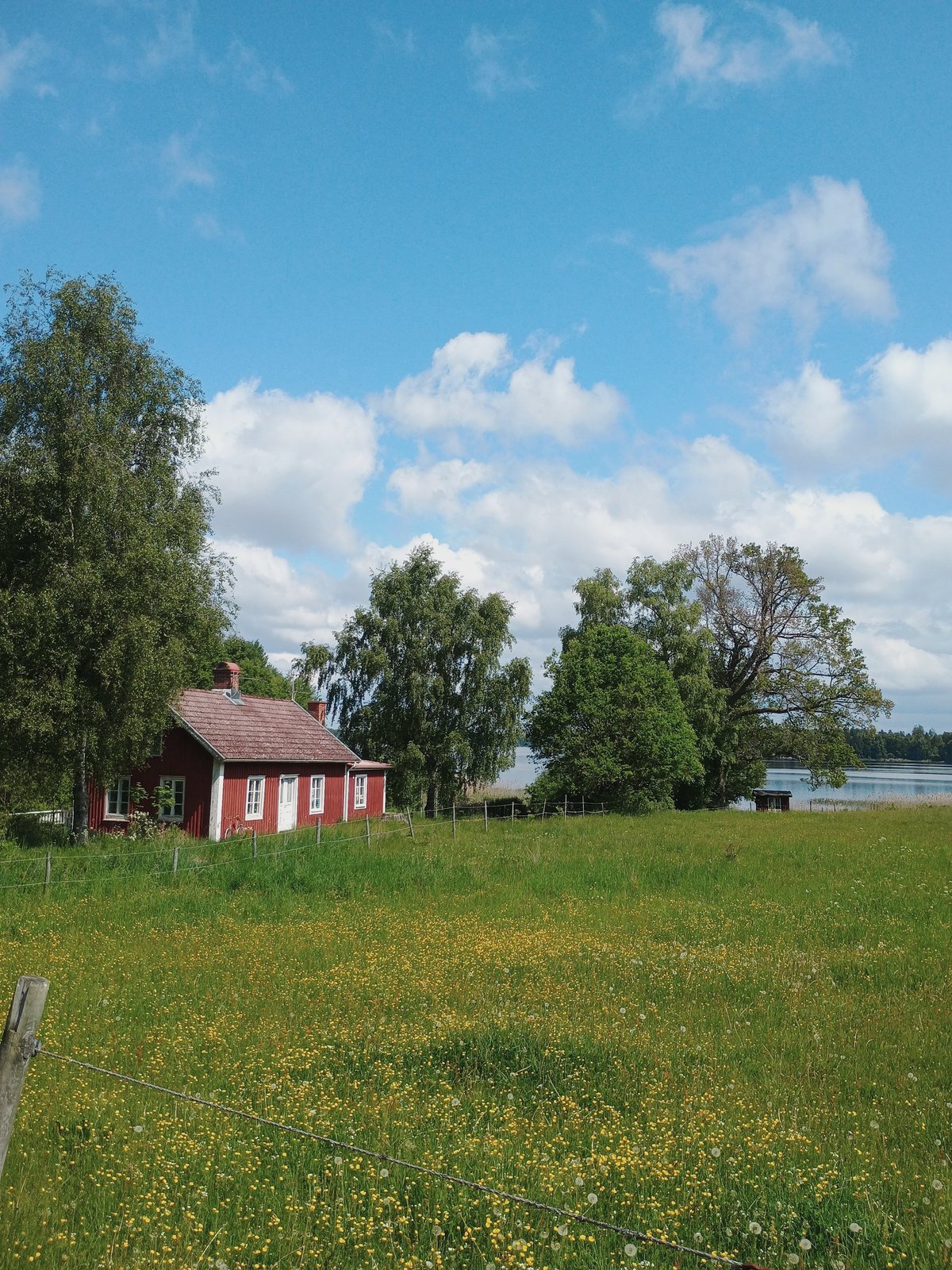 Rood Zweeds houten huisje aan een bloemenweide met bomen en een meer op de achtergrond onder een blauwe zomerlucht.