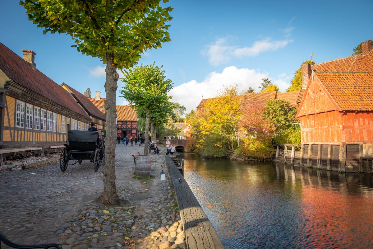 Historisch openluchtmuseum met vakwerkhuizen, een paardenkoets en een waterloop omgeven door herfstkleuren.