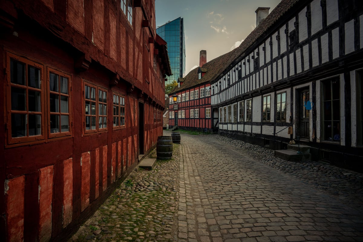 Smal kinderkopjesstraatje geflankeerd door rode en zwart-witte vakwerkhuizen in een historisch Scandinavisch stadje.