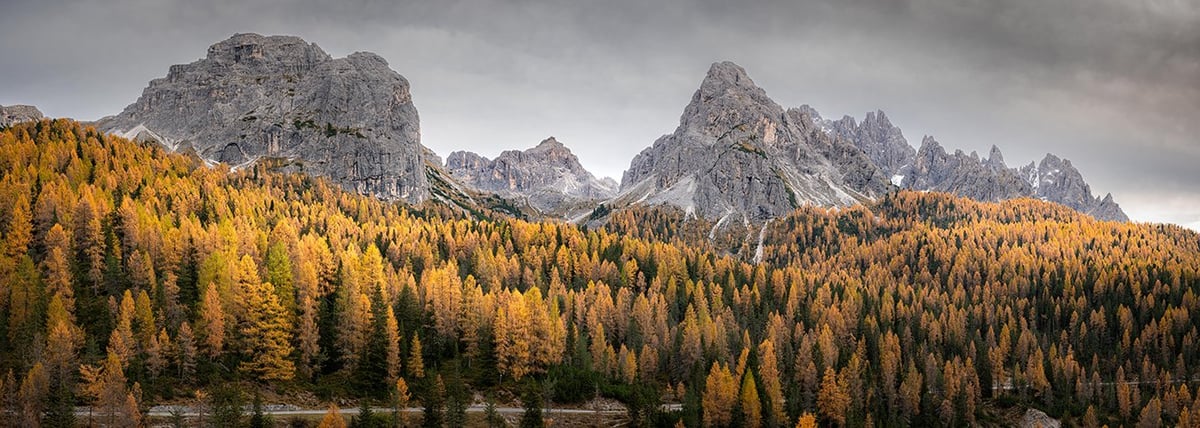 Gele lariksen langs de weg naar Tre Cime di Lavaredo