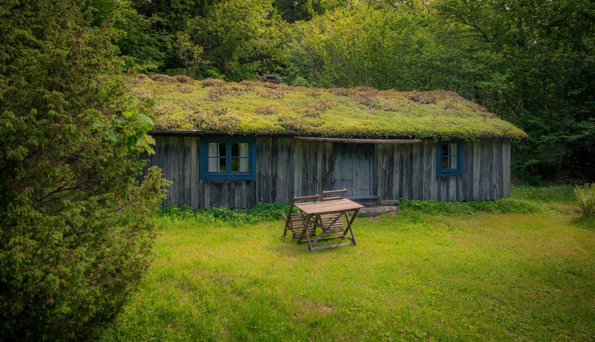 Oude houten hut met groen sedumdak en blauwe raamkozijnen, omgeven door bos met een houten tafel ervoor.
