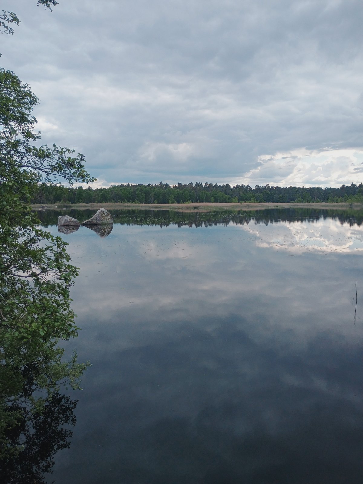 Stil Scandinavisch meer met perfecte wolkenspiegeling, omgeven door naaldbos en een eenzame rots in het water.
