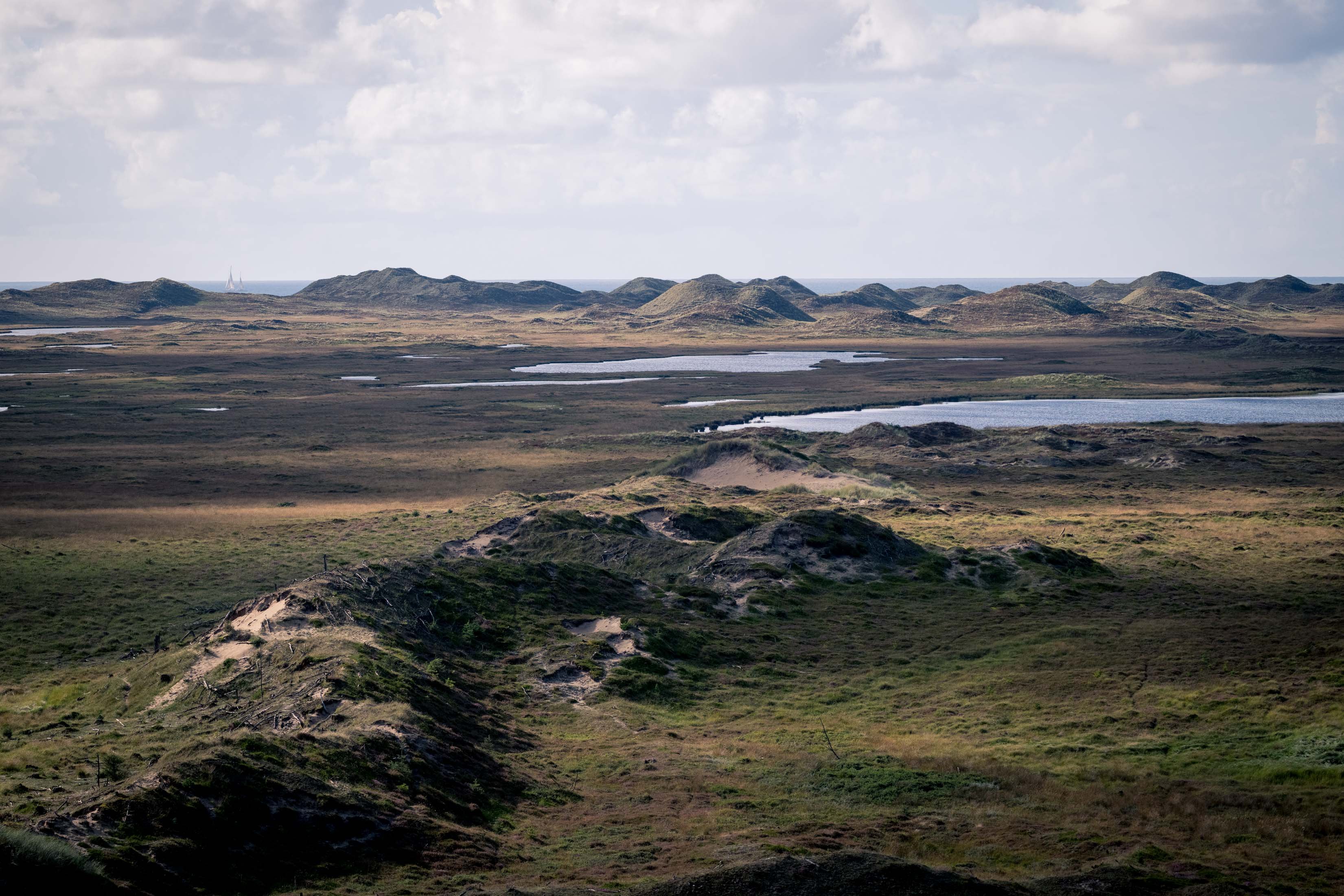 Panoramisch uitzicht over een duin- en heidelandschap met verspreid liggende waterplassen onder een bewolkte hemel.