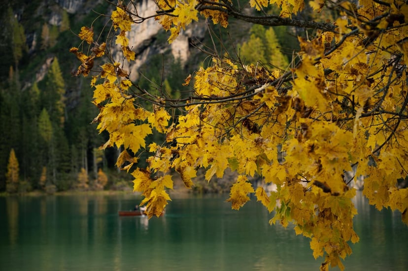 Lago di Braies herfst reflectie water