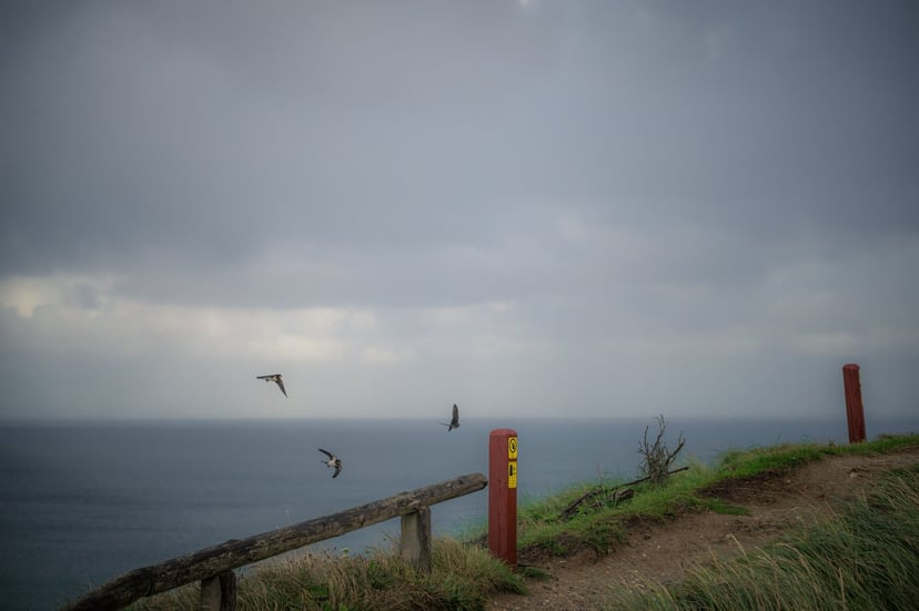 Golven Noordzee kust