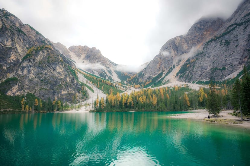 Wandelpad rond Lago di Braies bos