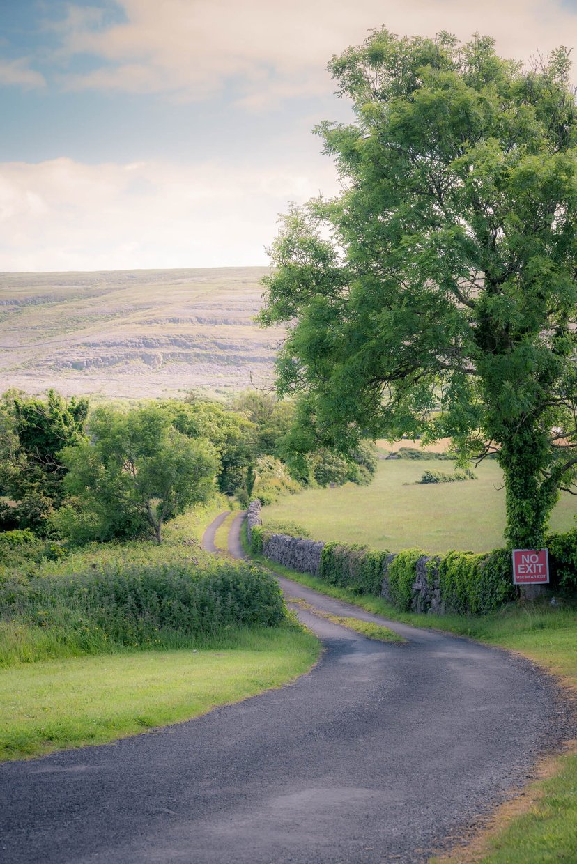 Burren landschap kalksteen rotsen gras
