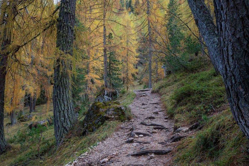 Dolomieten rotsen