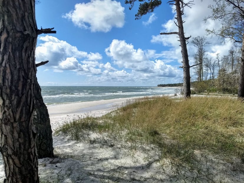 Dueodde duinen landschap
