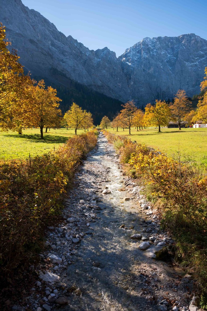 Esdoorn silhouet Karwendel bergen