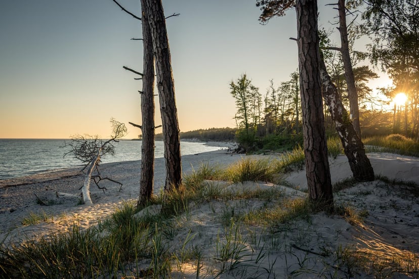 Dueodde strand panorama