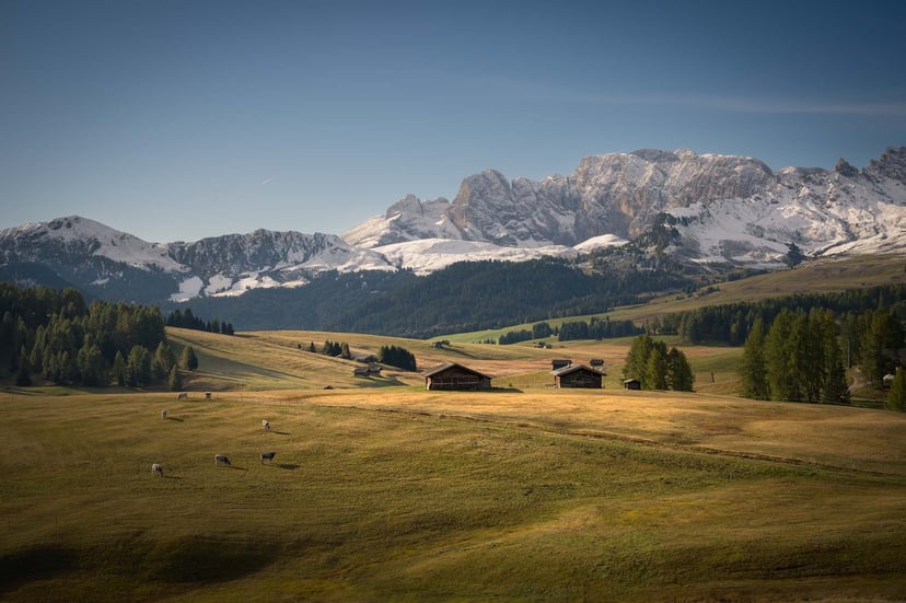 Seiser Alm ochtendnevel herfstweides