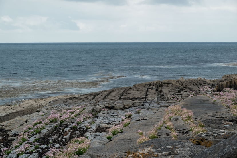 Inisheer ruïnes oude gebouwen