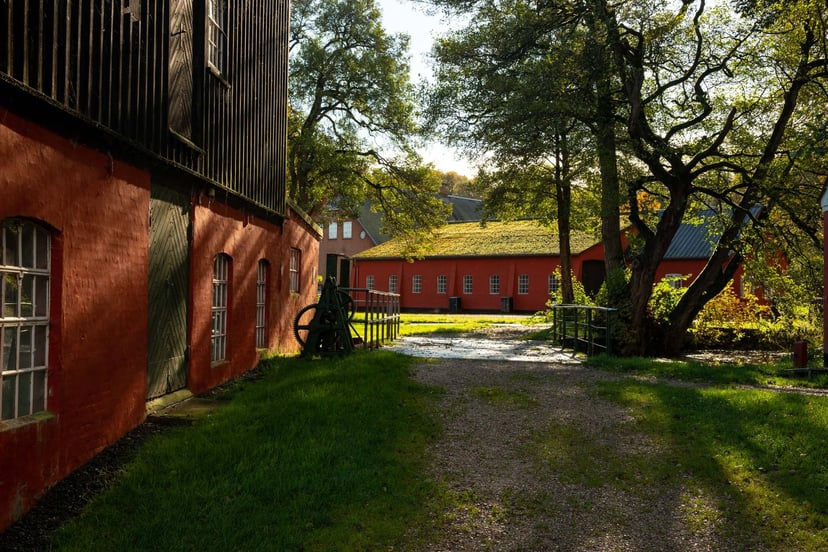Klostermølle Mossø rietvelden