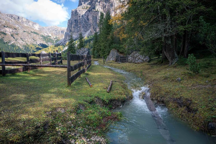 Grazende koeien op de alpenweide in Vallunga