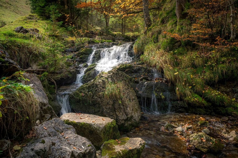 Beek door herfstbos Beieren