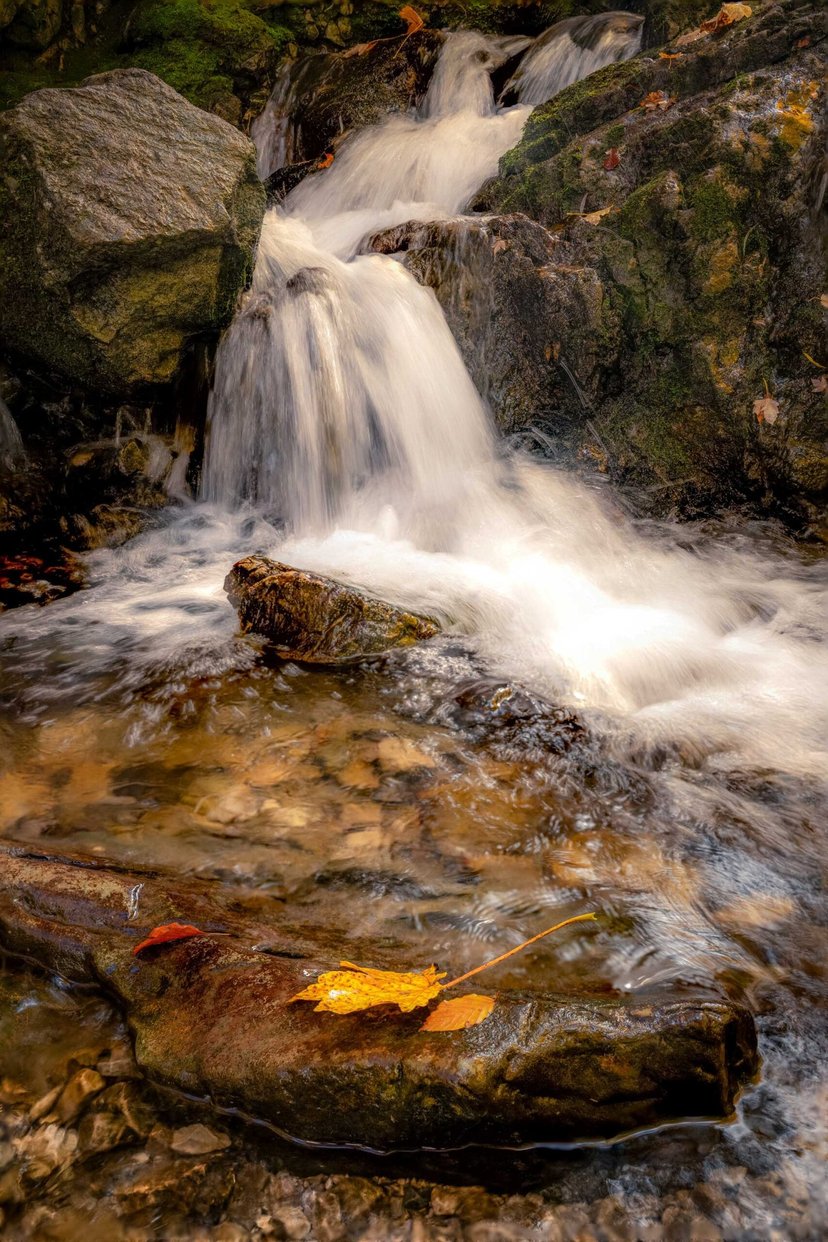 Waterval detail mos rotsen