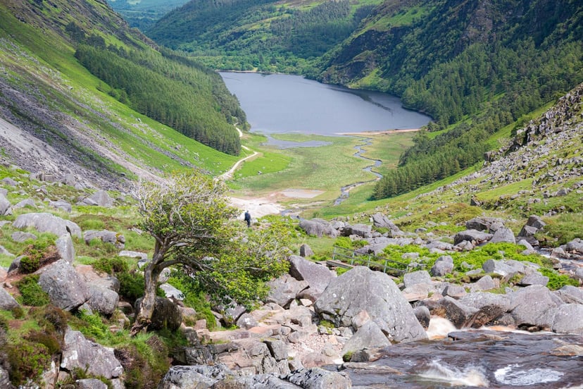 Rotsachtig berglandschap met heide in de Wicklow Mountains