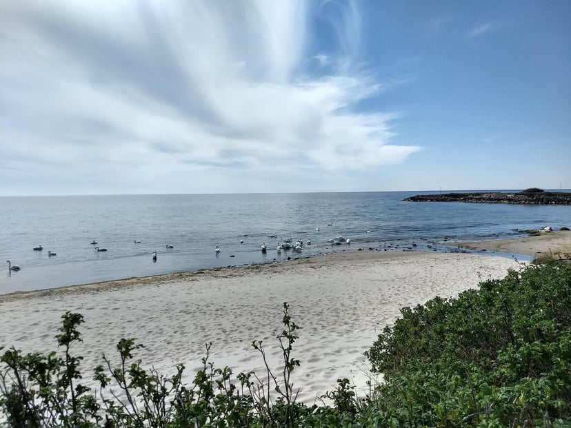 Dueodde strand voorjaar