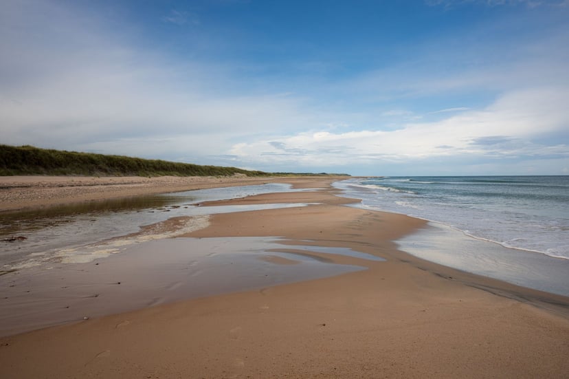 Heide en duinen Noord-Jutland