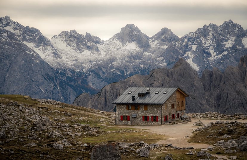 Alpenbloemen met de drie toppen van Tre Cime di Lavaredo (Drei Zinnen) op de achtergrond, Dolomieten