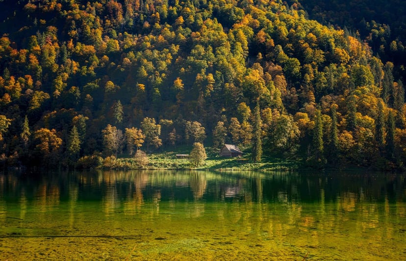 Königssee spiegelbeeld bergen water herfst