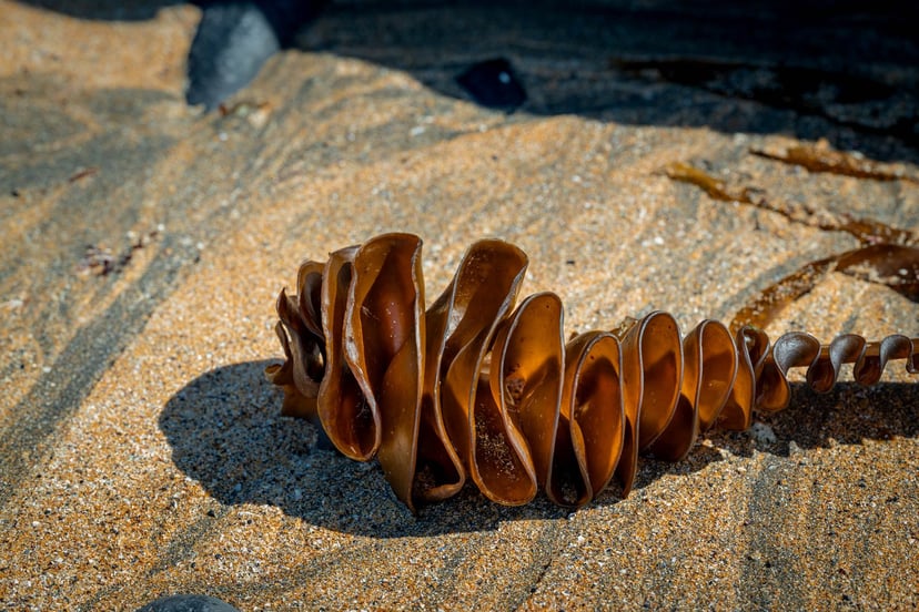 Fanore Beach rotsen kalksteen laagwater