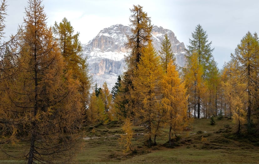 Dolomieten landschap herfst