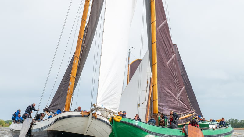 Drie traditionele houten zeilboten in een spannende race op Fries binnenwater met volle bruine en witte zeilen.