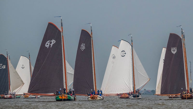 Meerdere traditionele houten zeilboten met bruine en witte zeilen varen dicht op elkaar tijdens een zeilwedstrijd op een Nederlands binnenwater.