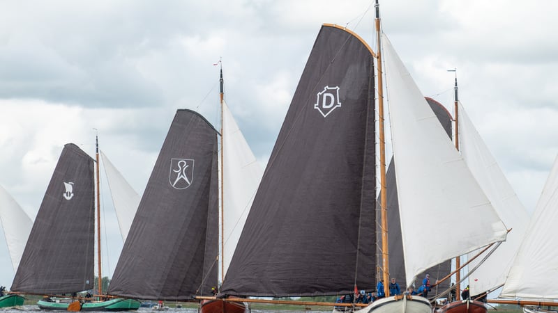 Traditionele houten zeilboten met donkere zeilen en heraldische emblemen varen dicht bij elkaar tijdens een regatta op een Fries binnenwater.